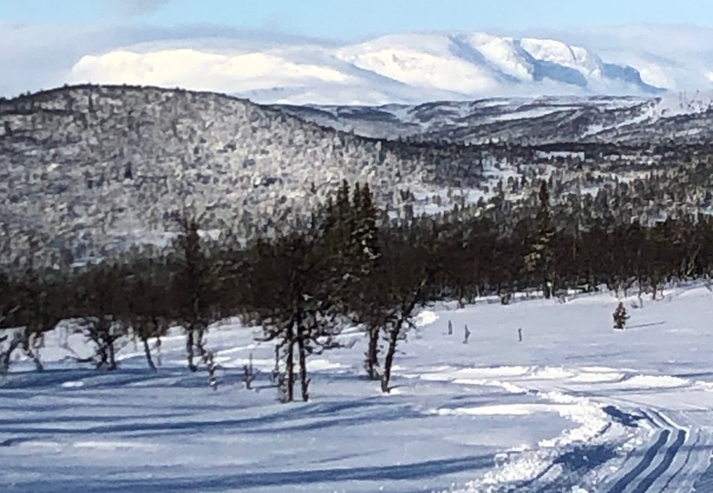 Flott bilde av skiføre i en fjelldal, korona tomt?